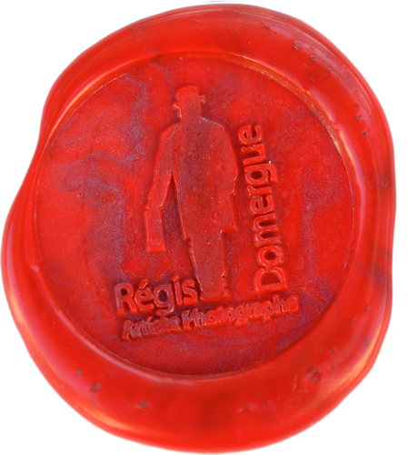 Sceau Régis Domergue