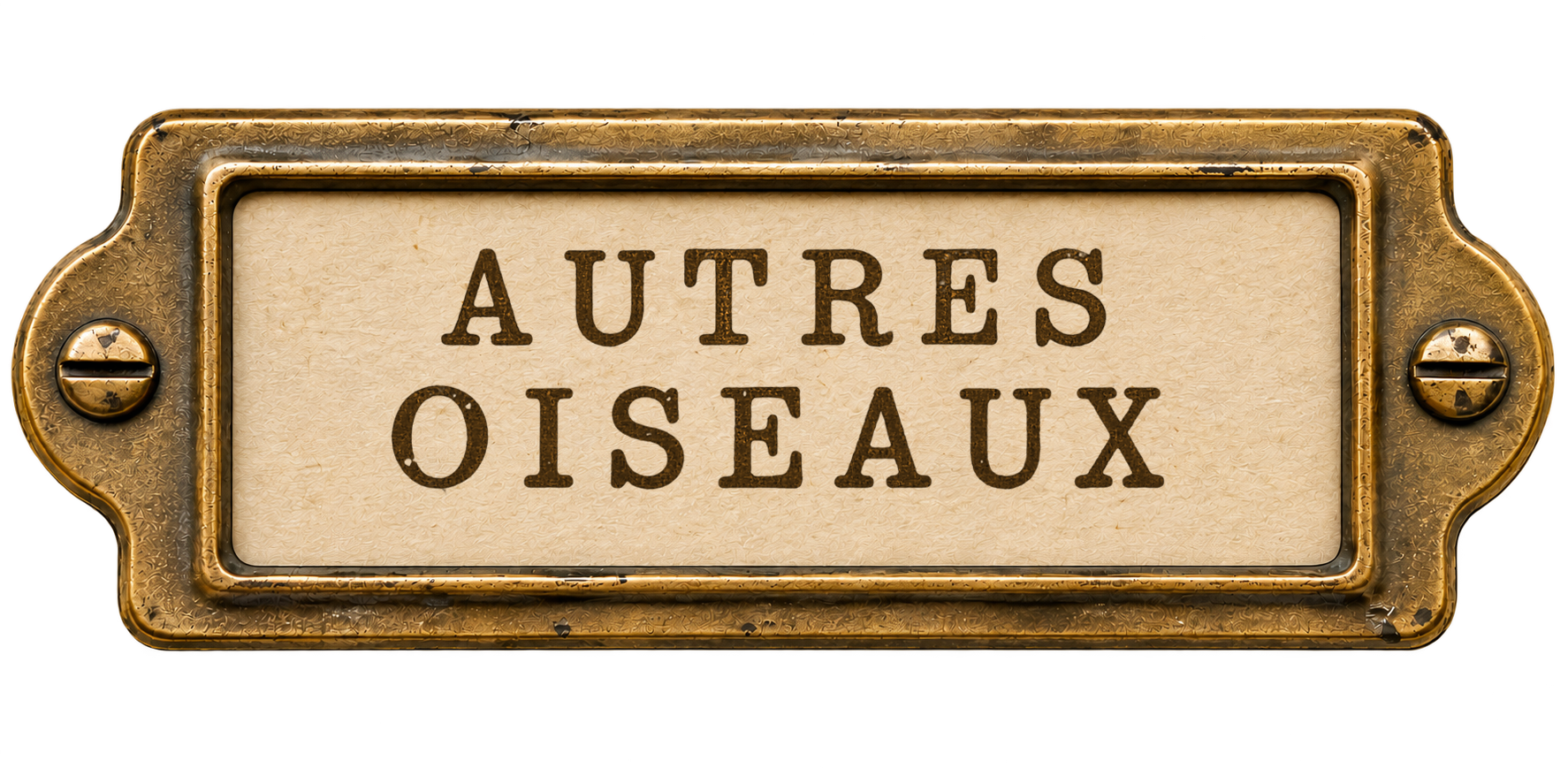 Autres oiseaux
