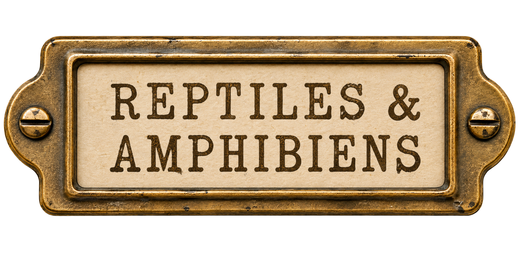 Reptiles & Amphibiens